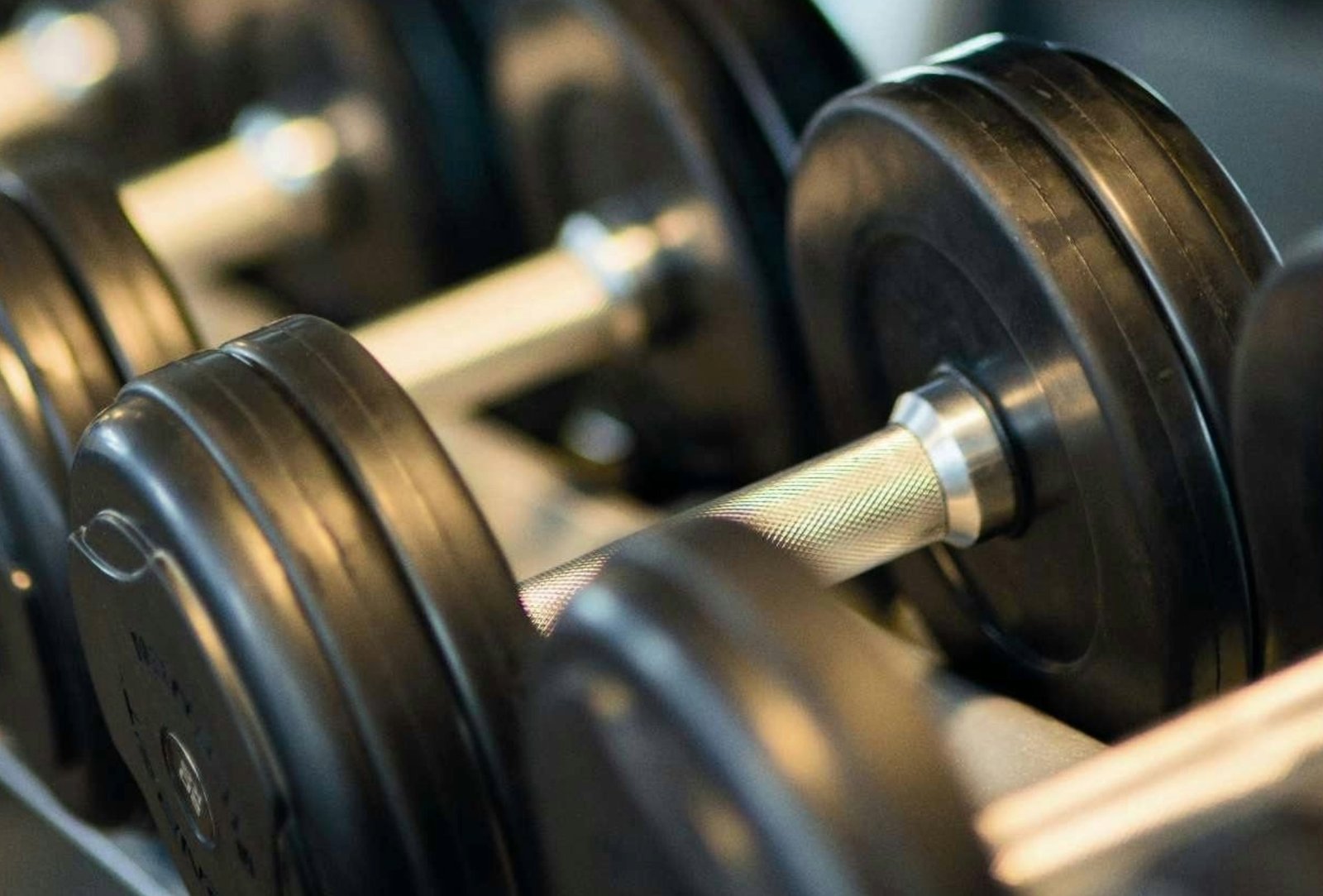 Free weights used in strength training at home fitness programs Free weights used in strength training at home fitness programs